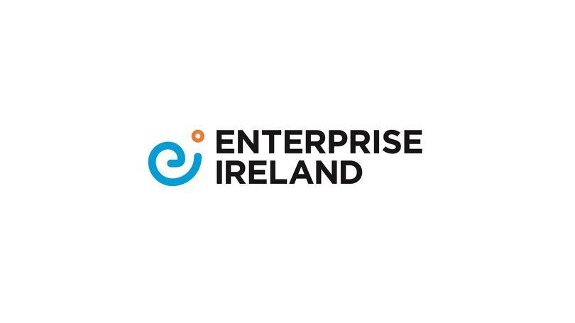 Enterprise Ireland Grants